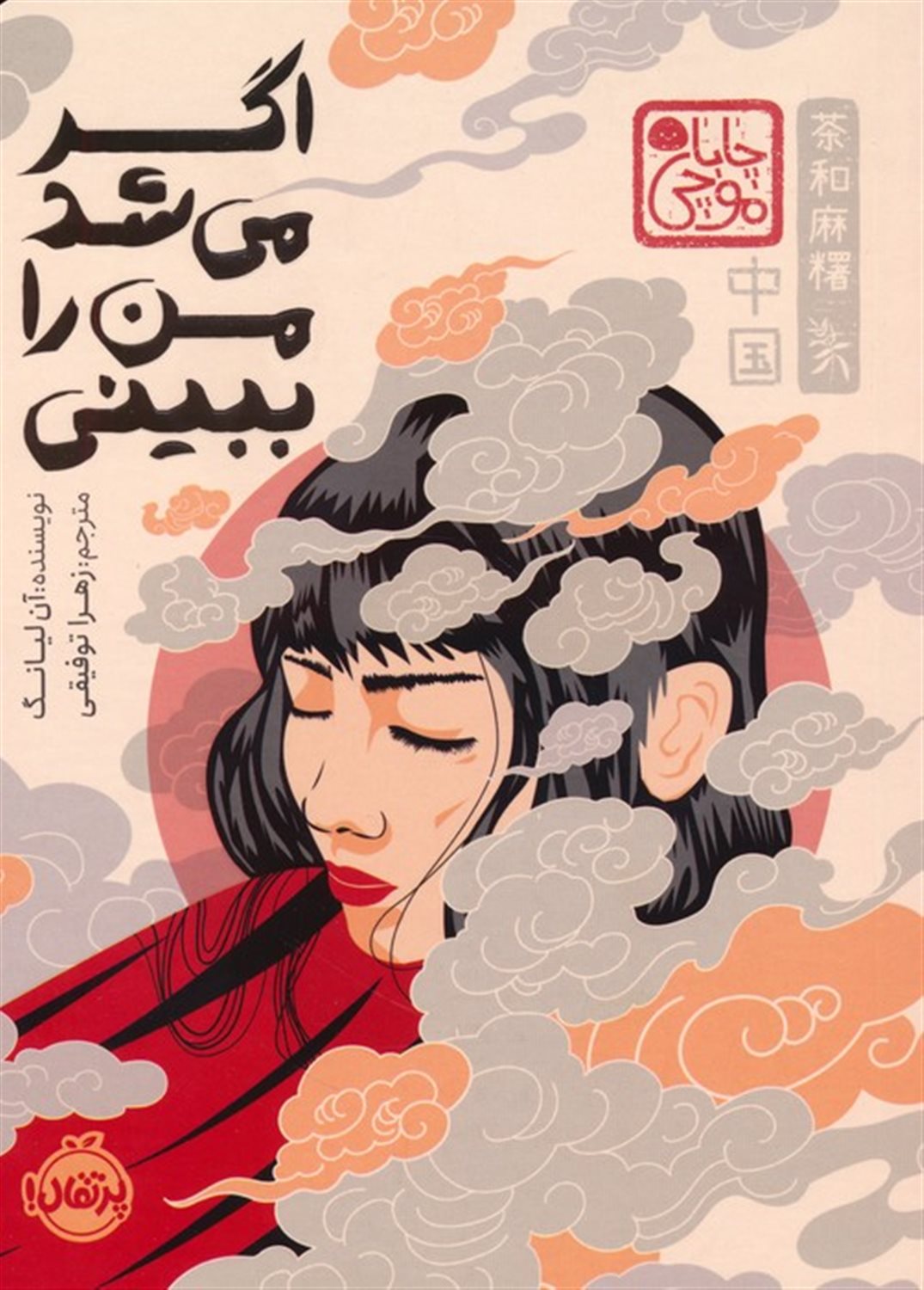 اگر می شد من را ببینی 