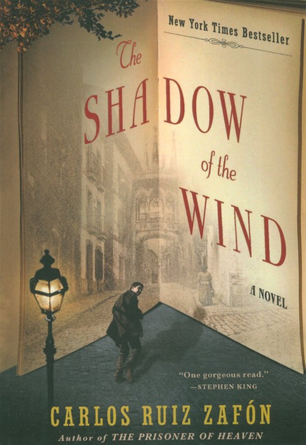 THE SHADOW OF THE WIND 