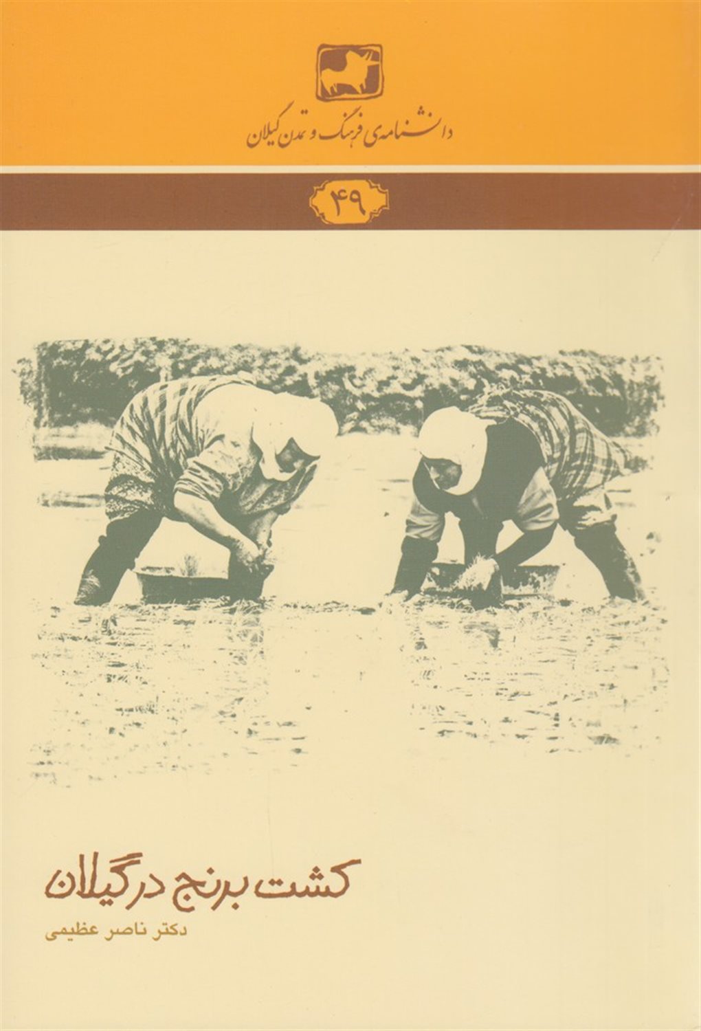 کشت برنج در گیلان