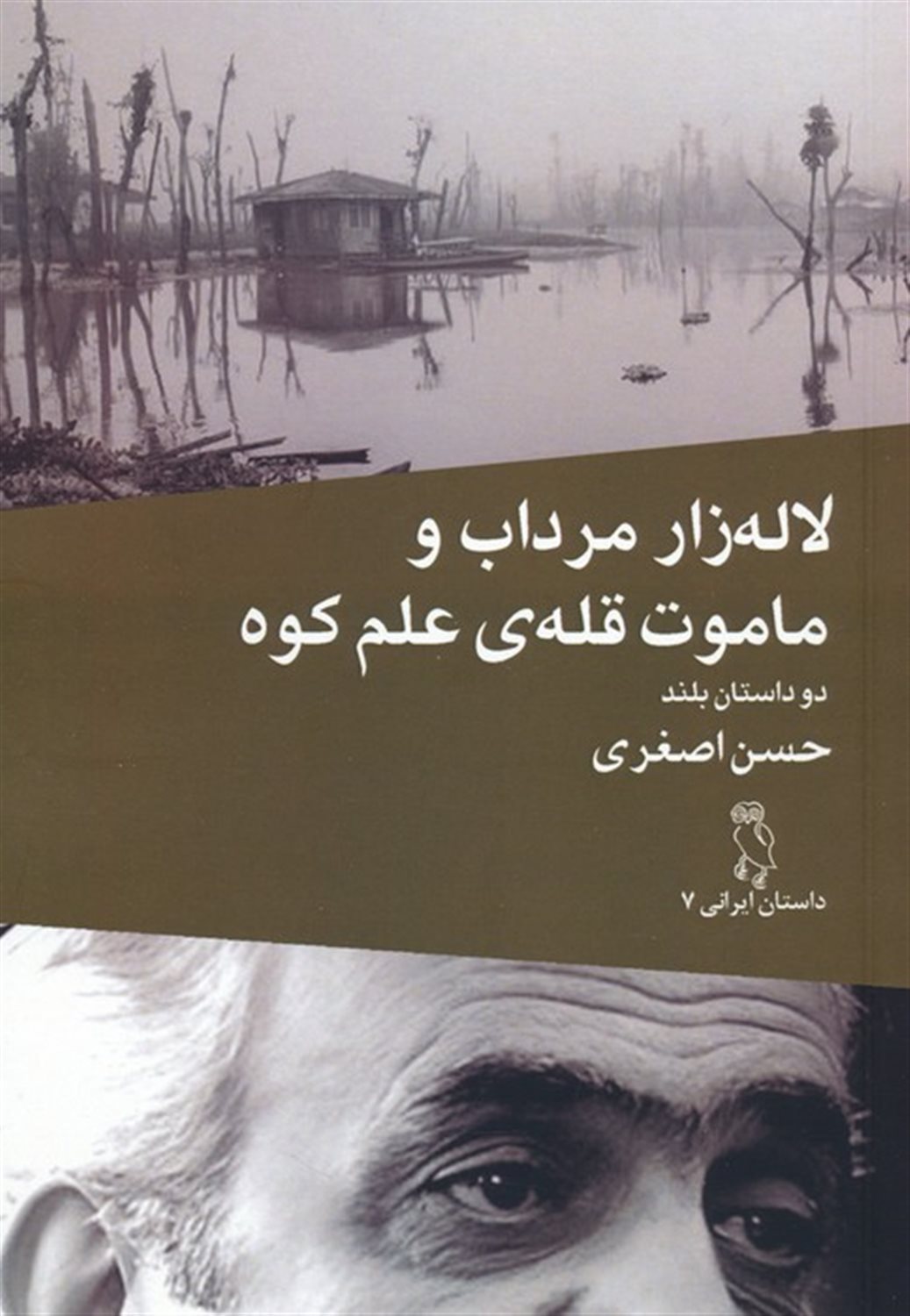 لاله زار مرداب و ماموت قله ی علم کوه 