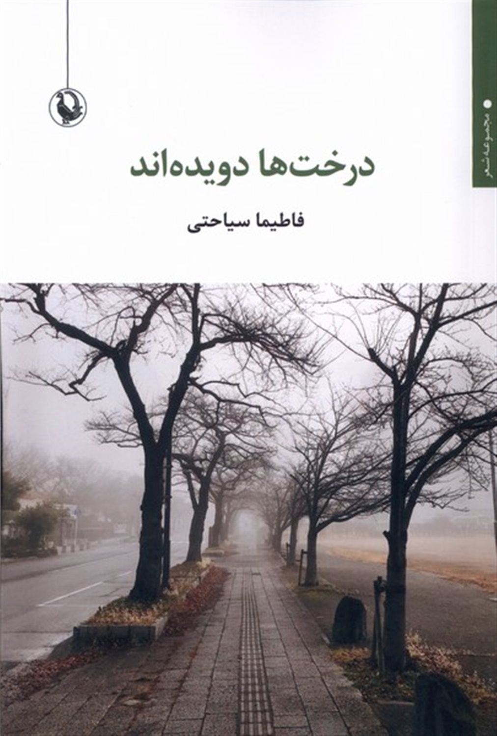 درخت‌ها دویده‌اند 