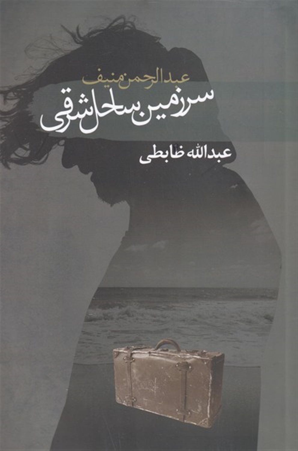 سرزمین ساحل شرقی