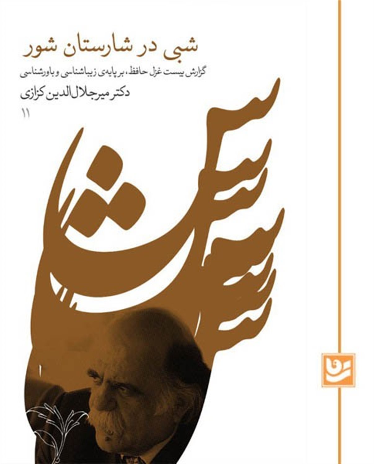 شبی در شارستان شور
