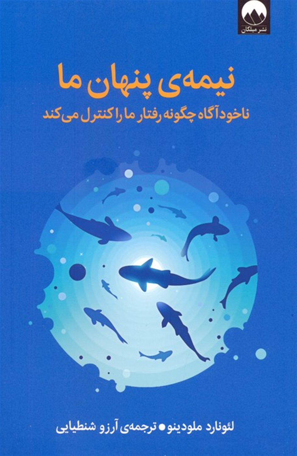 نیمه‌ی پنهان ما 