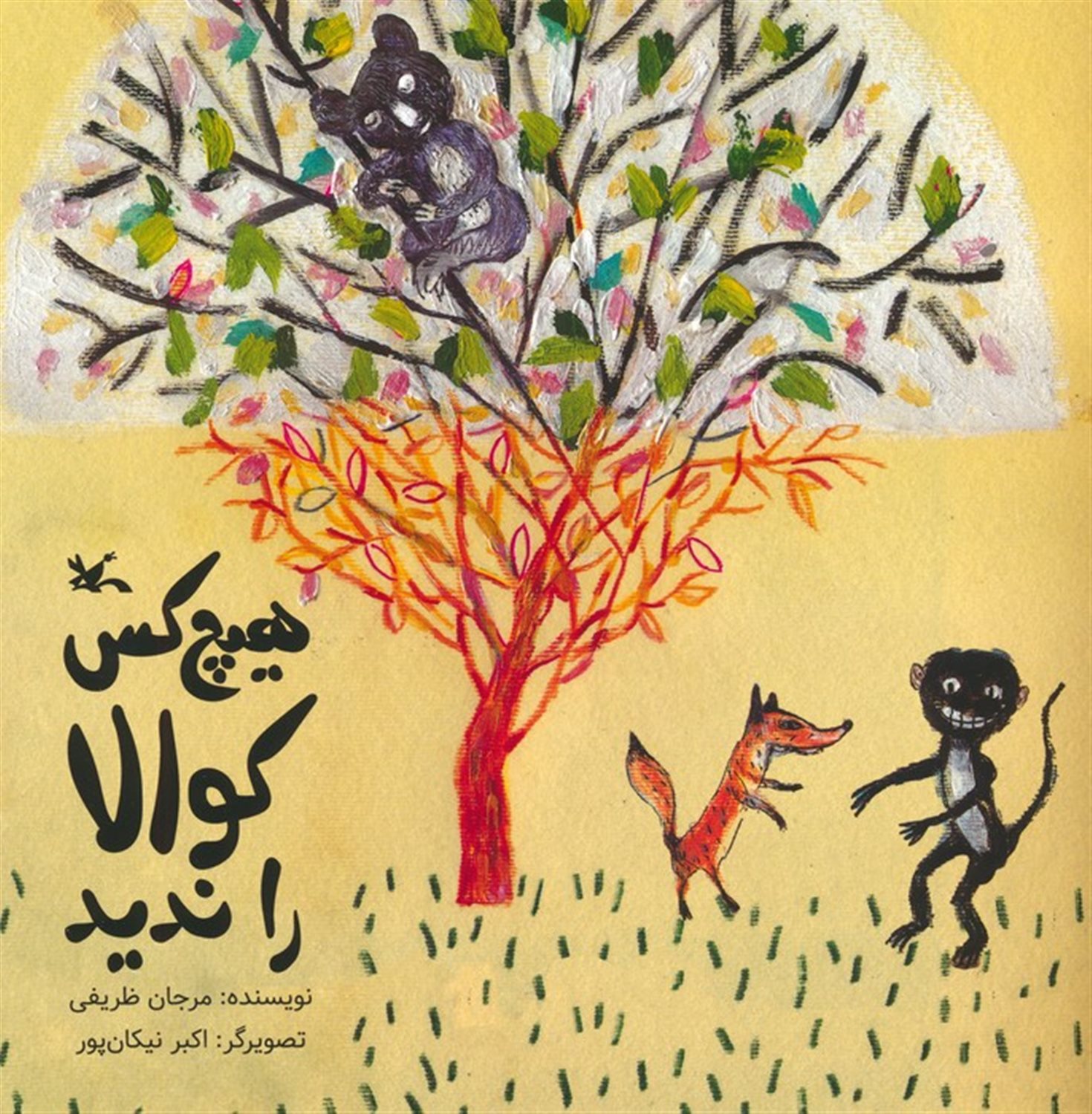 هیچ کس کوالا را ندید 