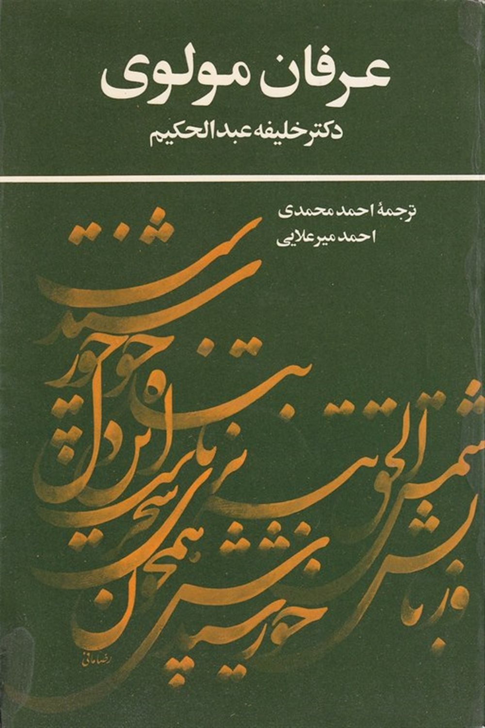 عرفان مولوی
