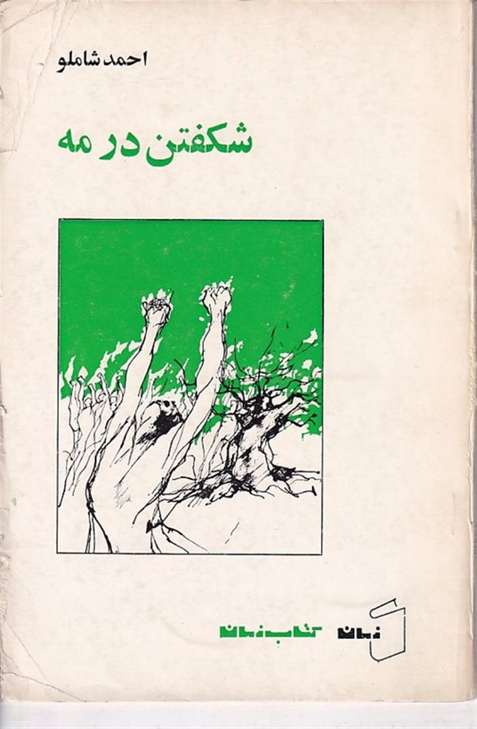 شکفتن در مه