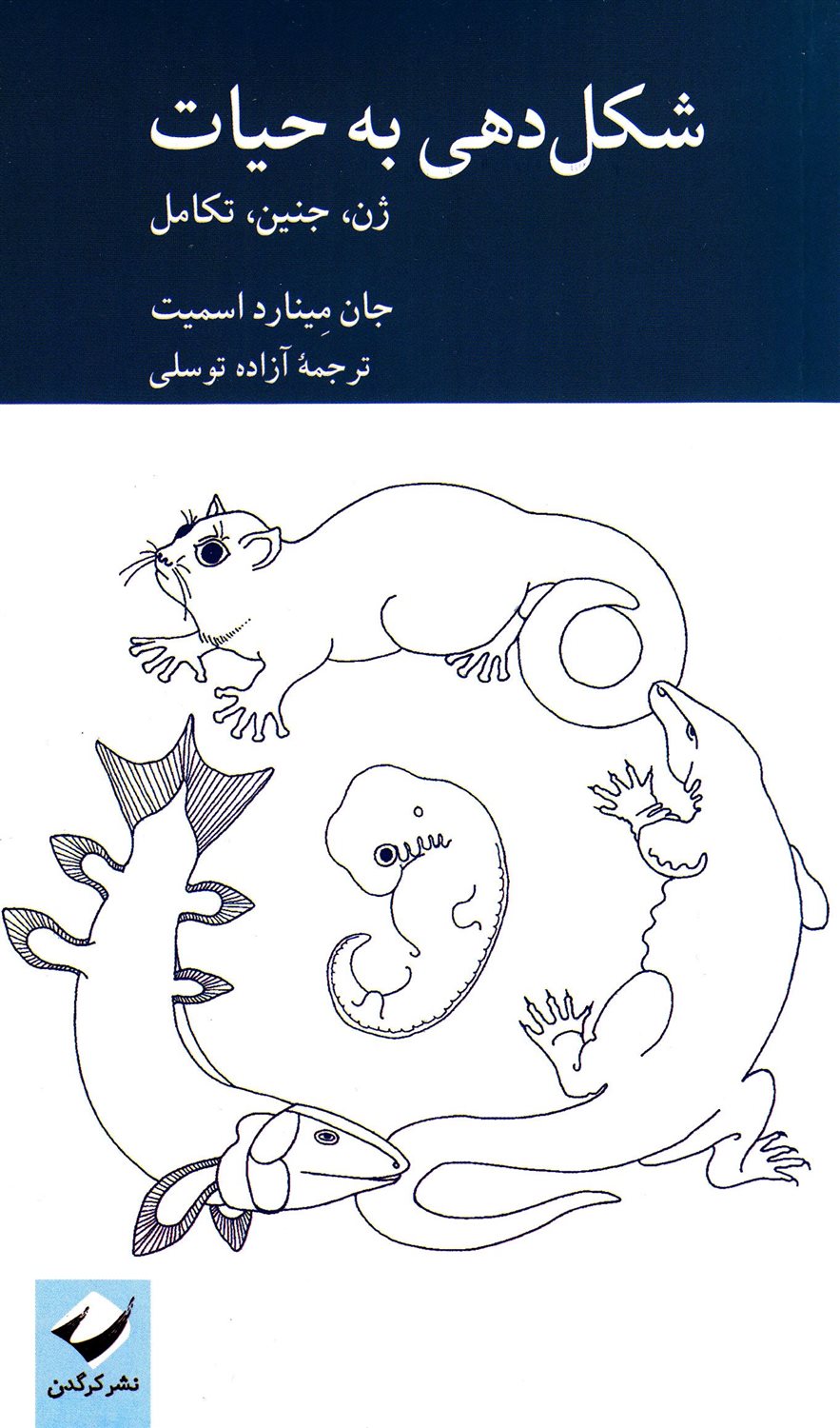 شکل دهی به حیات