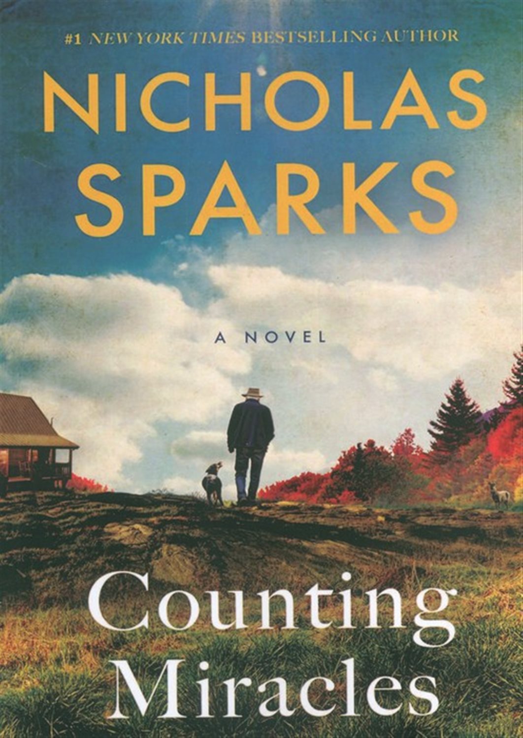 COUNTING MIRACLES