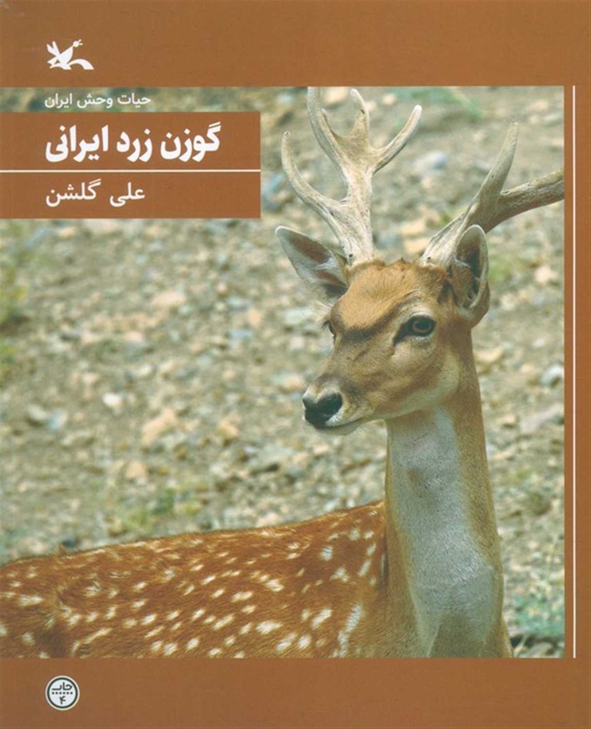 گوزن زرد ایرانی 