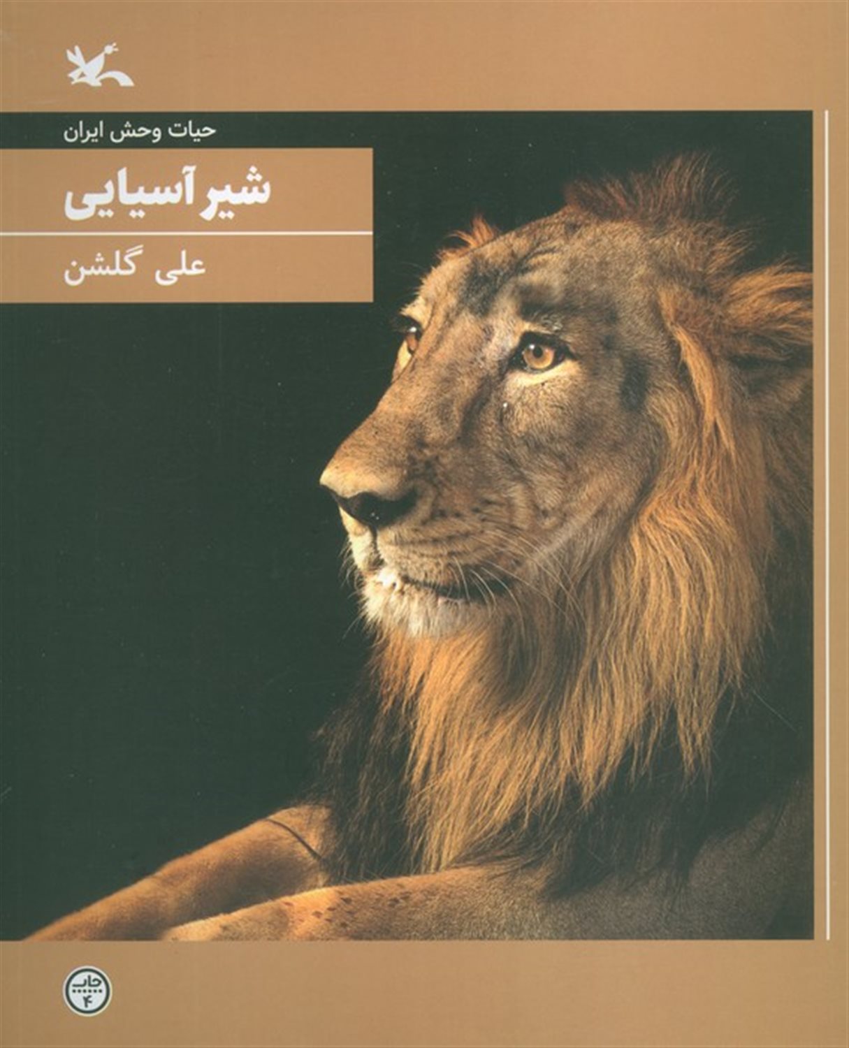 شیر آسیایی 