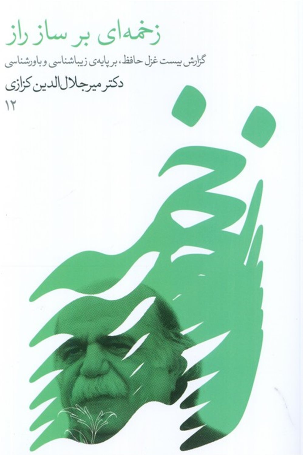 زخمه‌ای بر ساز راز