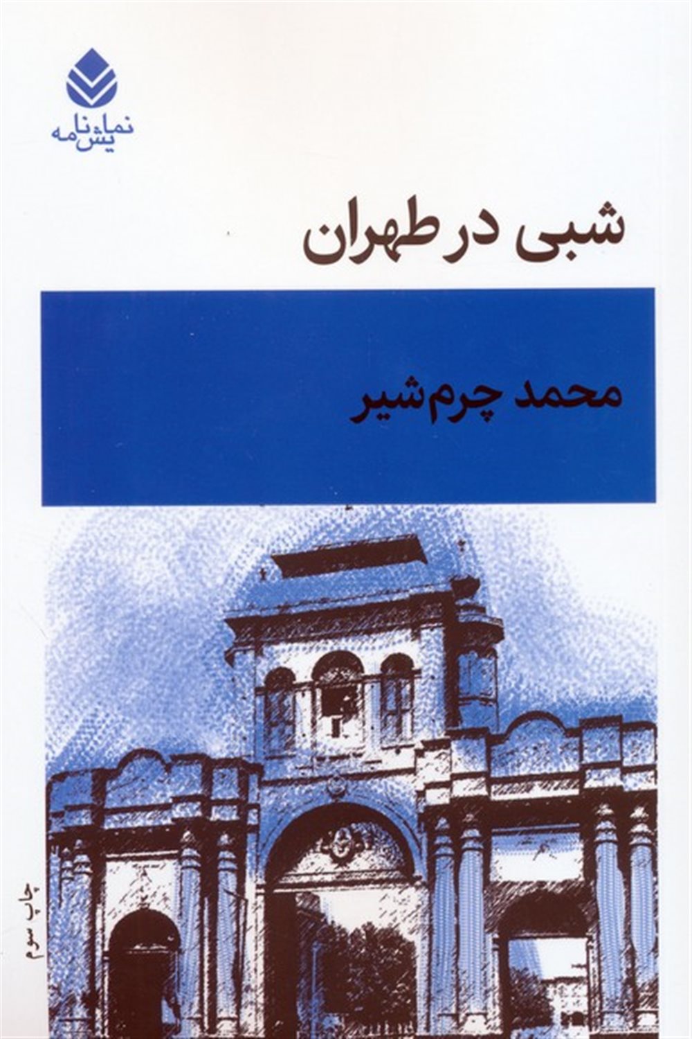 شبی در طهران 