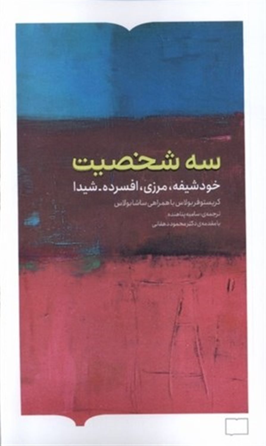 سه شخصیت (خودشیفته مرزی افسرده شیدا)