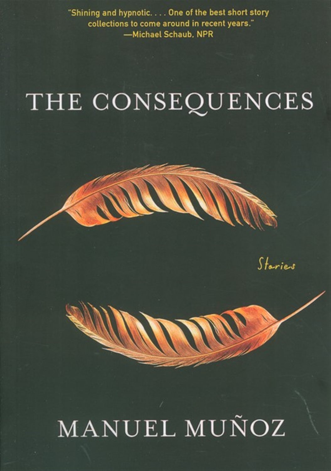 THE CONSEQUENCES