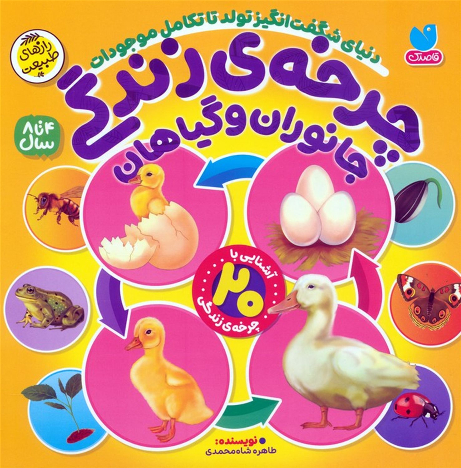 چرخه ی زندگی جانوران  و گیاهان 
