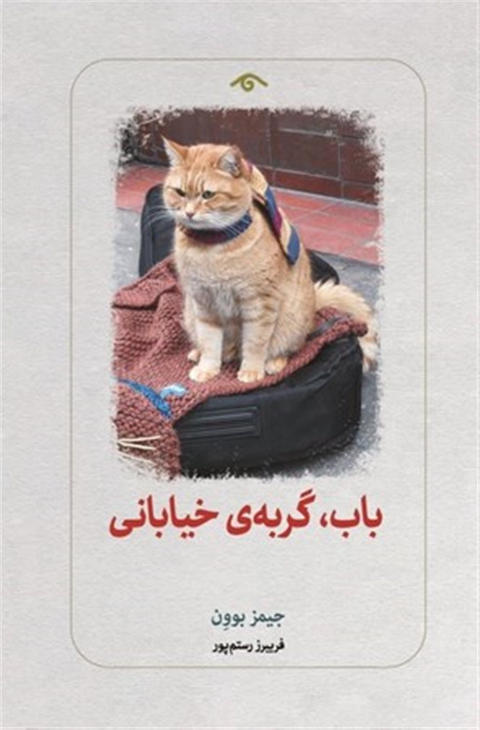 باب، گربه ی خیابانی