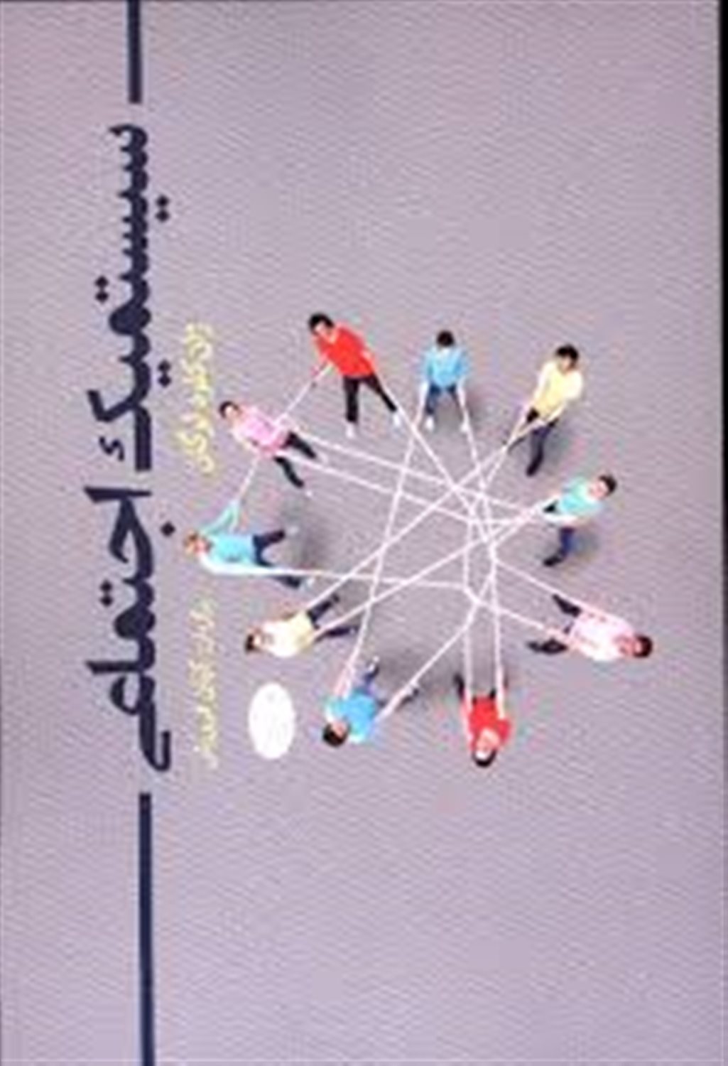 سیستمیک اجتماعی 