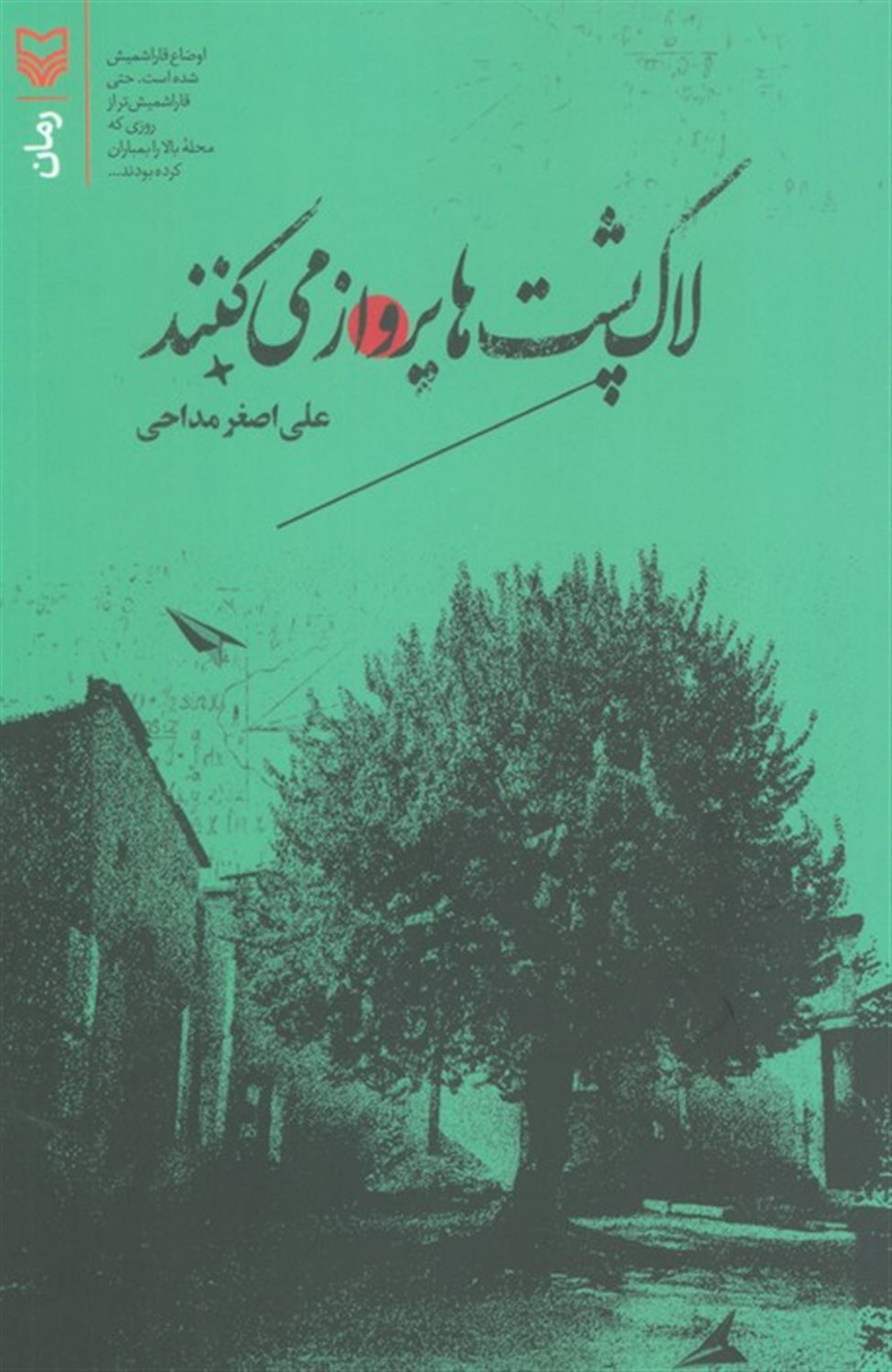 لاک پشت ها پرواز می کنند