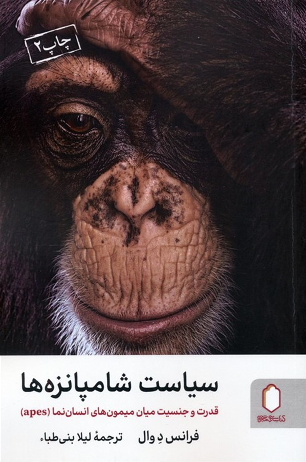 سیاست شامپانزه ها 