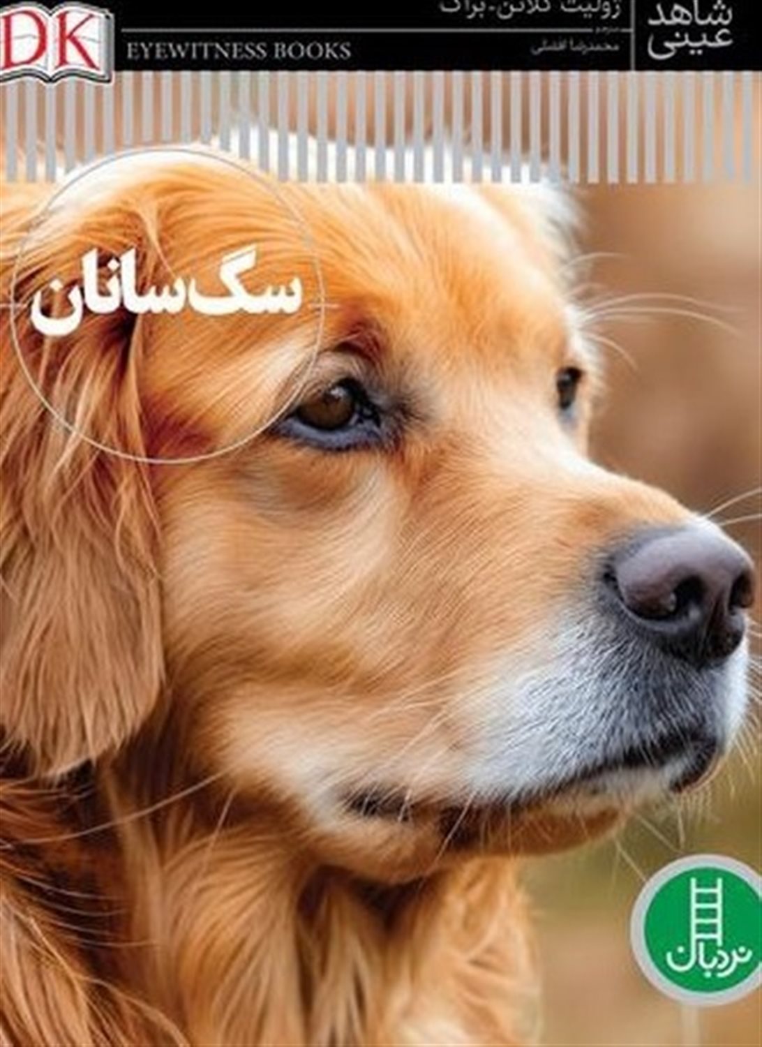 شاهد عینی (سگ‌سانان)