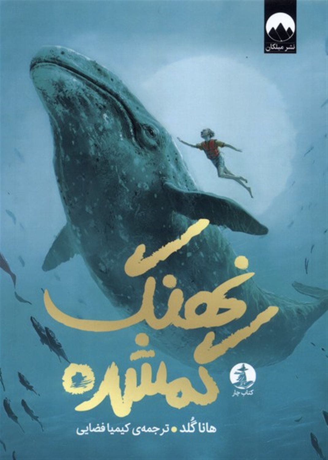 نهنگ گمشده
