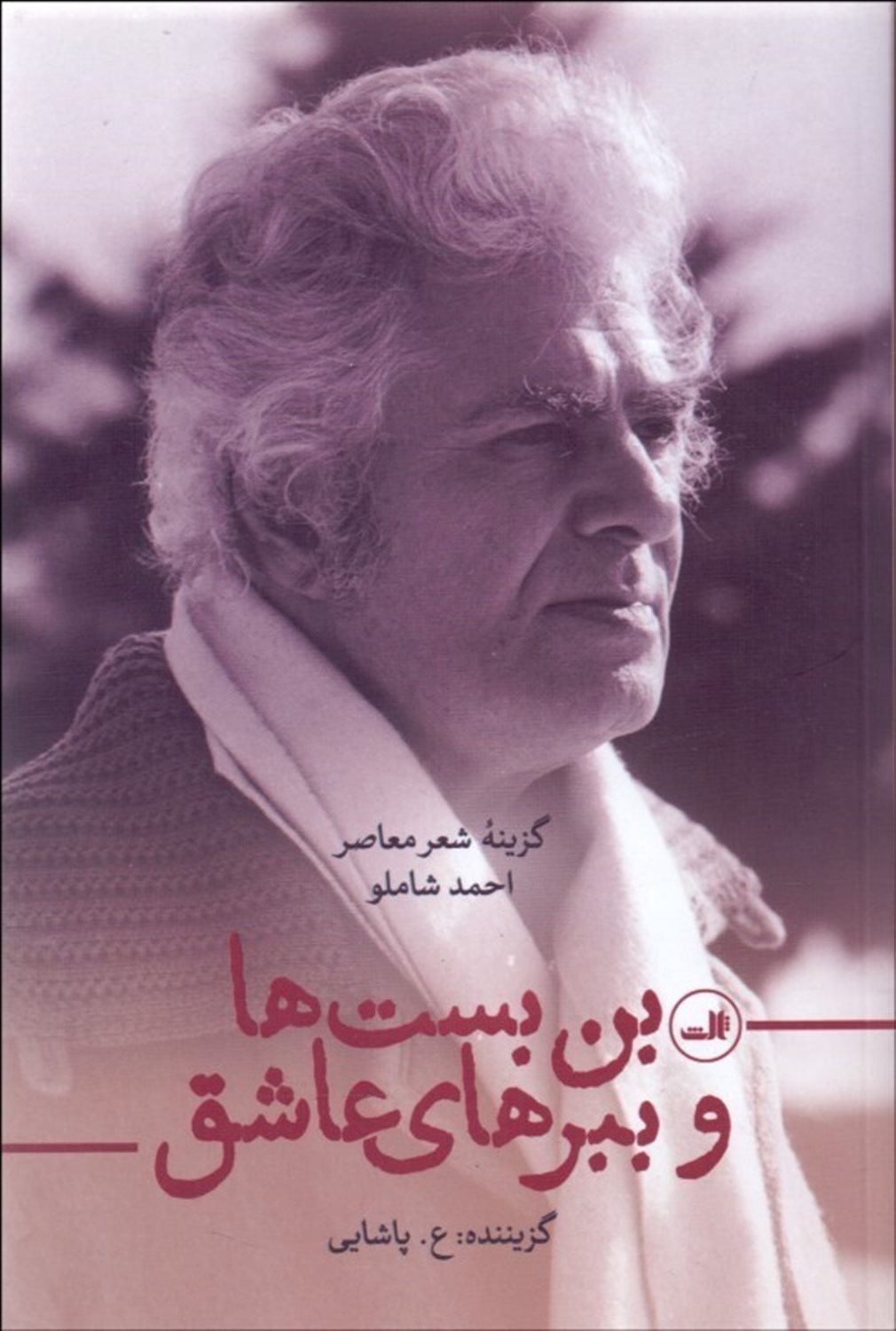 بن‌بست‌ها و ببرهای عاشق