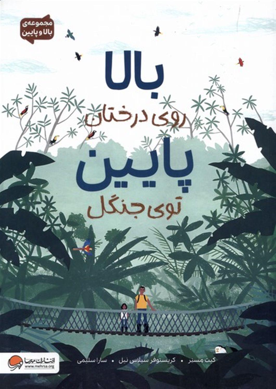 بالا روی درختان پایین توی جنگل