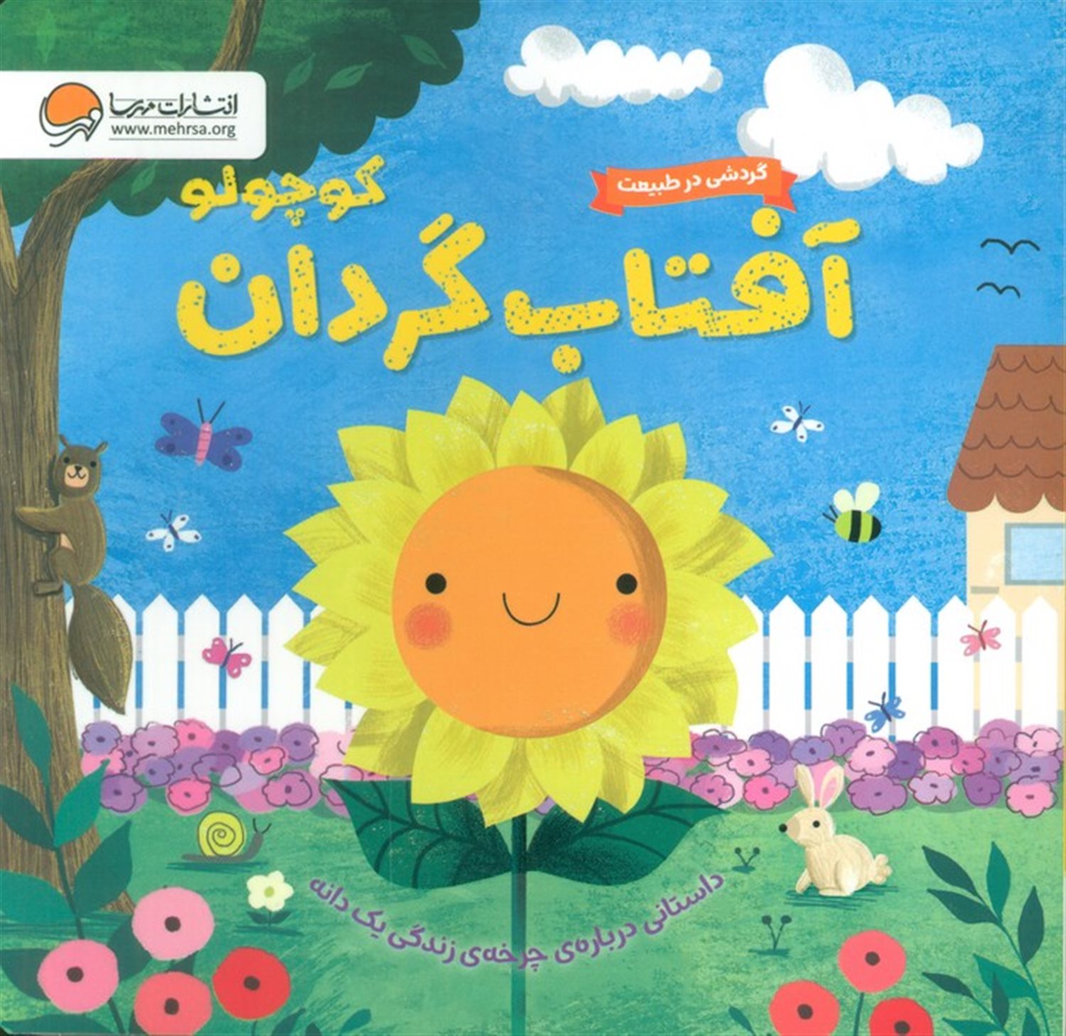 آفتاب گردان کوچولو