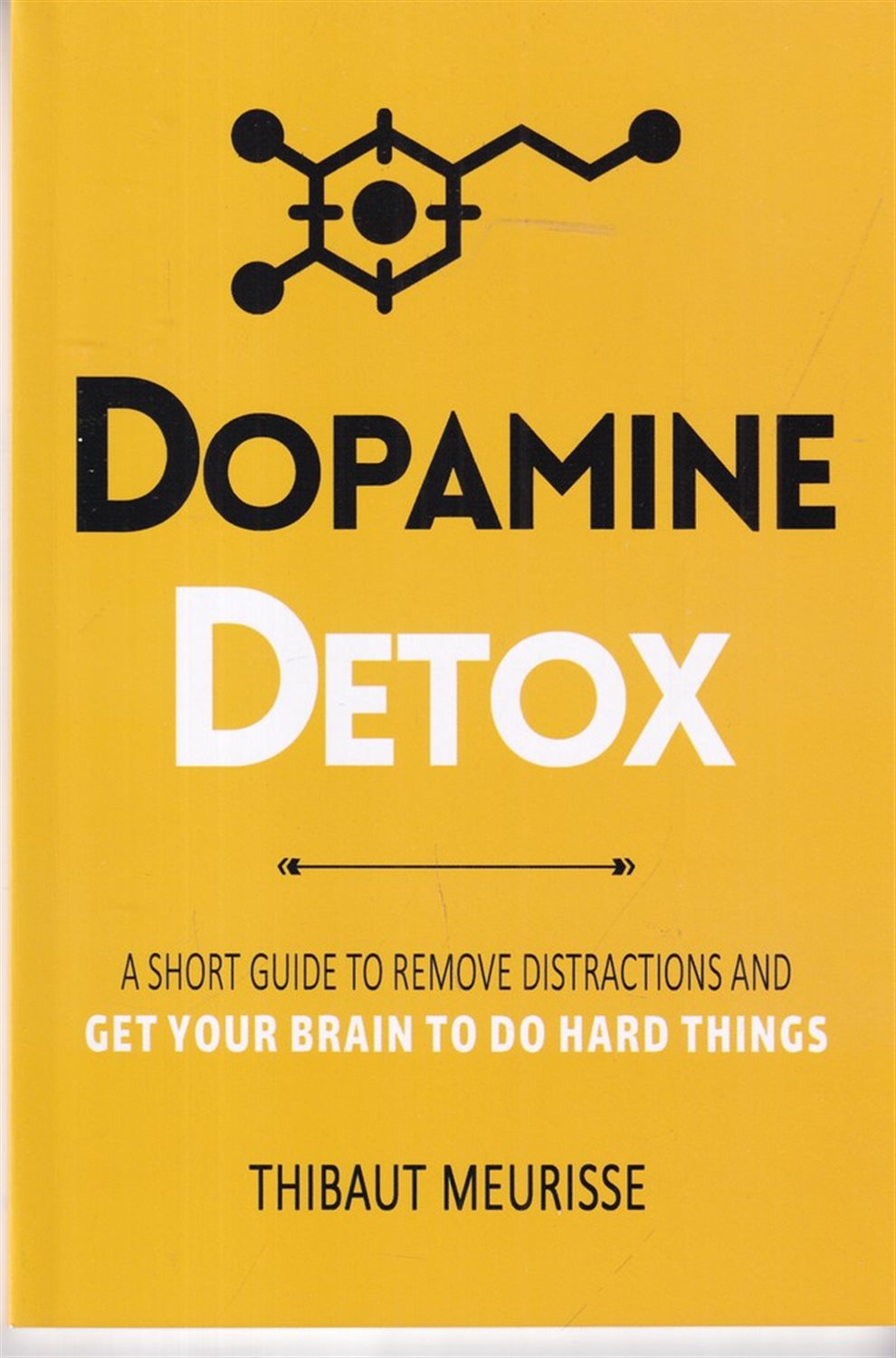 Dopamine Detox 
