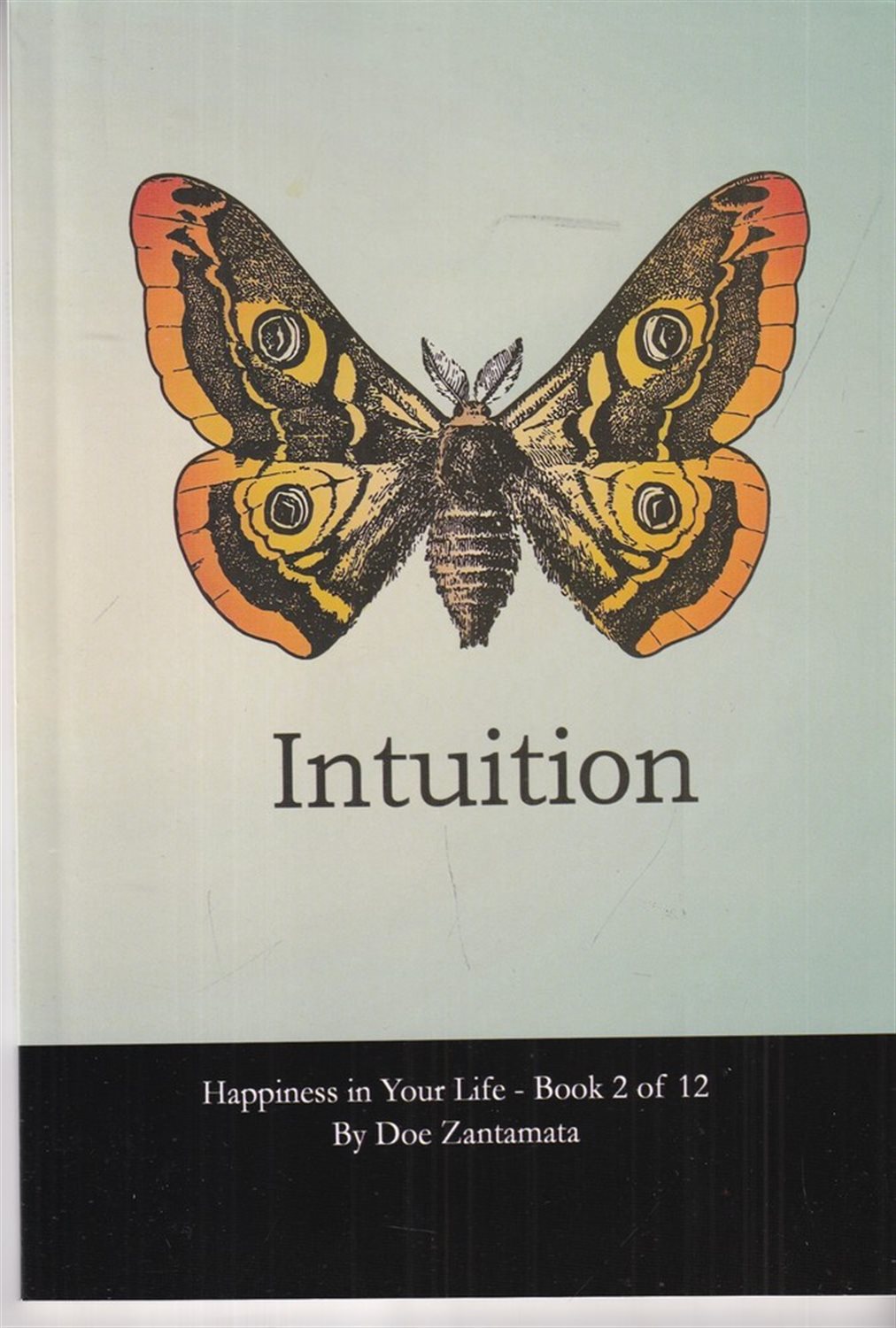 Intuition 