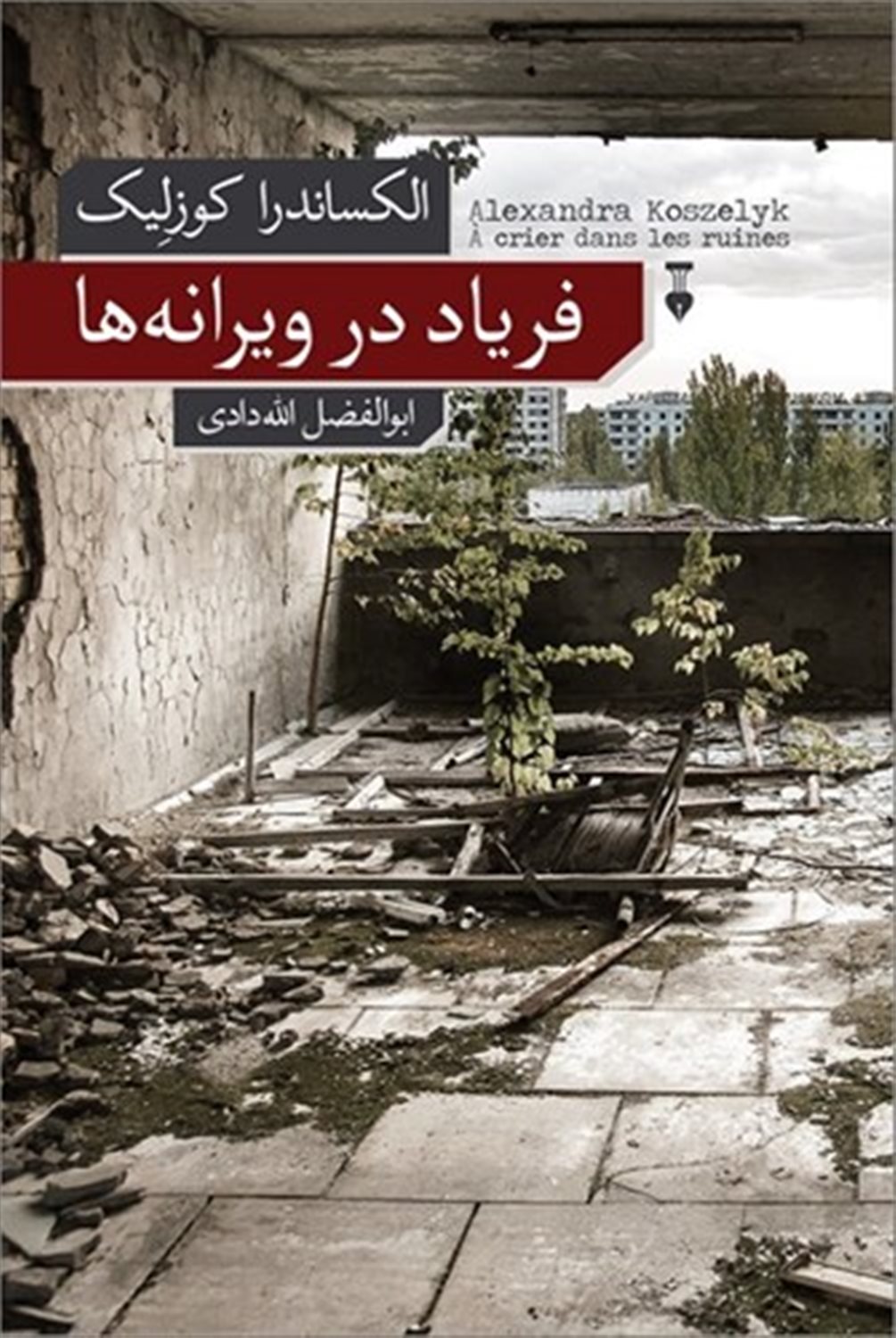 فریاد در ویرانه‌ها 