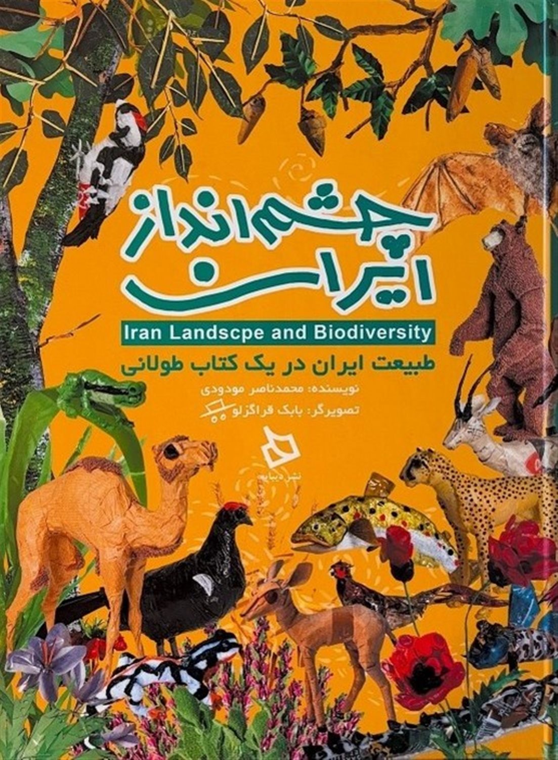 چشم انداز ایران