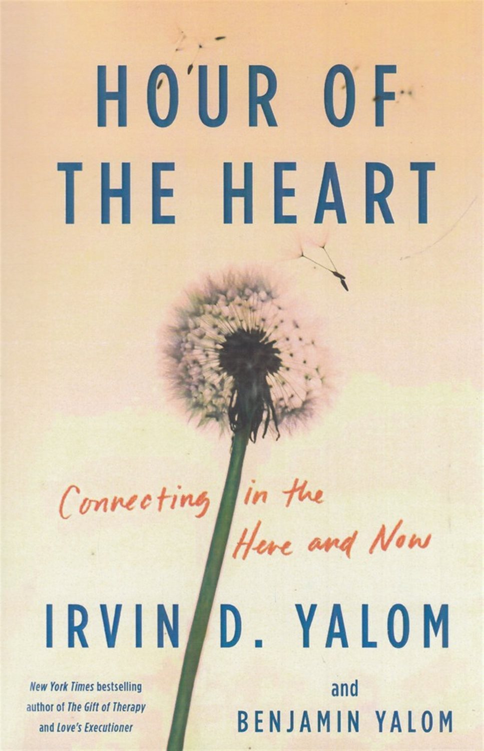 Hour Of The Heart