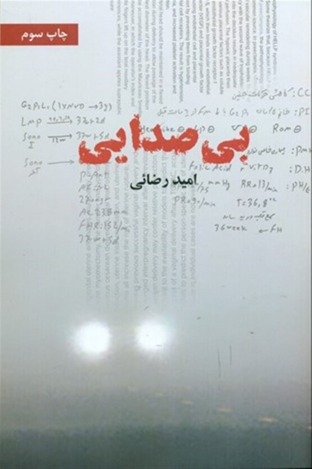 بی صدایی