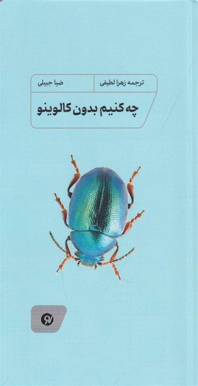چه کنیم بدون کالوینو