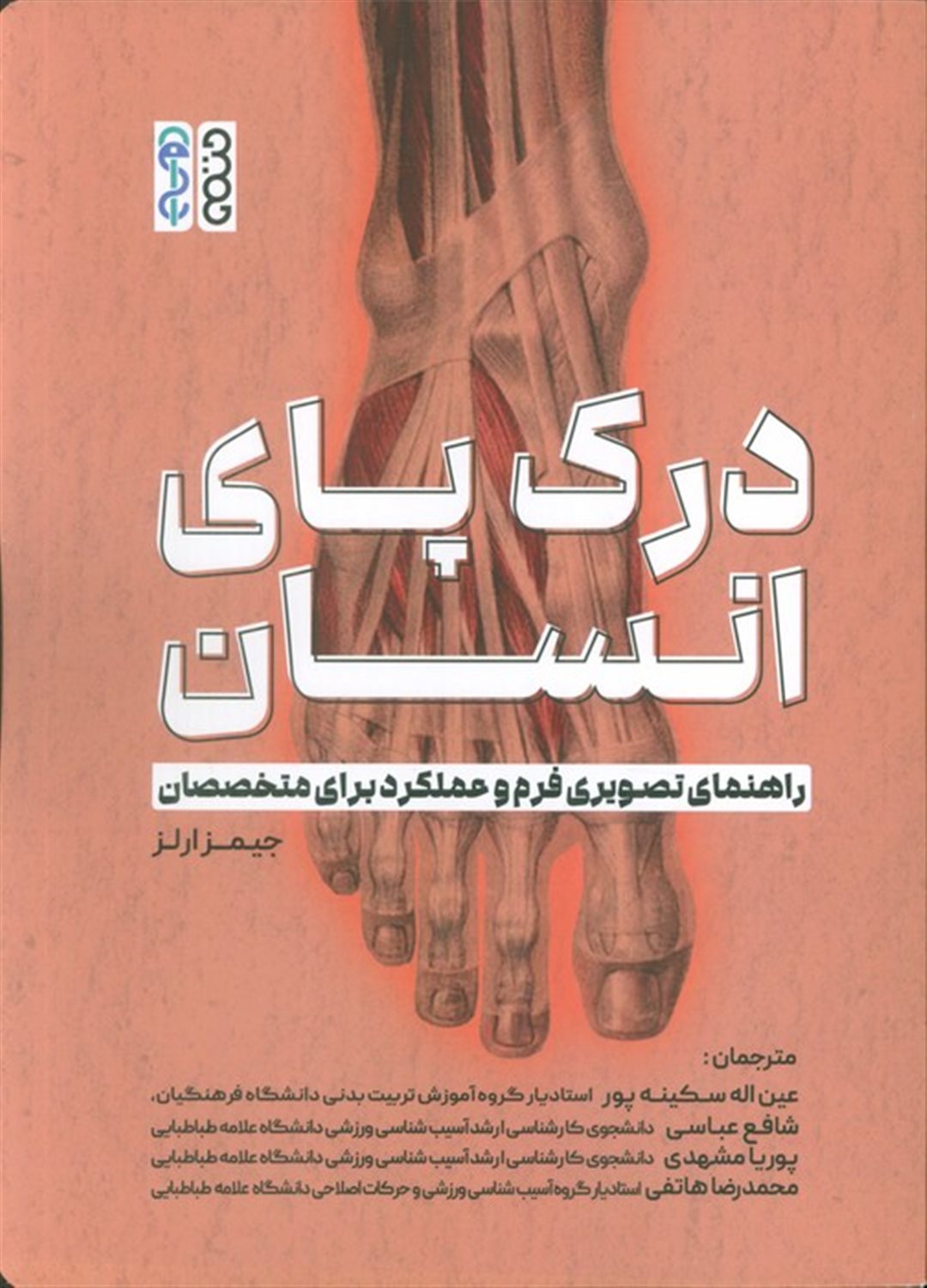 	درک پای انسان