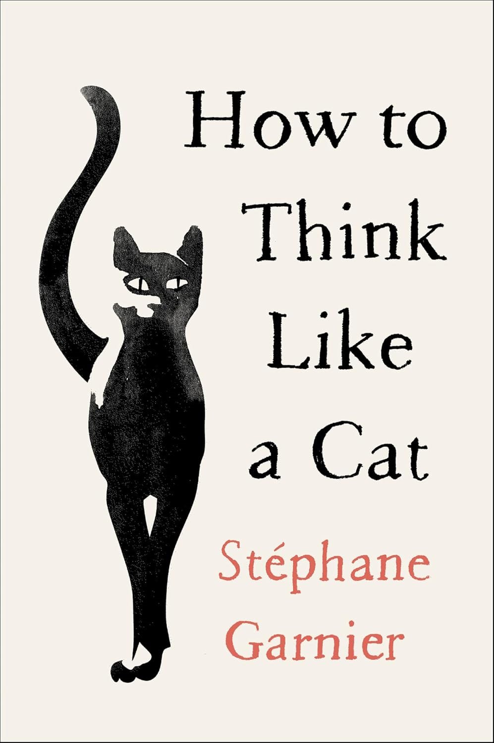 How to Think Linke a Cat (چطور مثل گربه فکر کنیم)