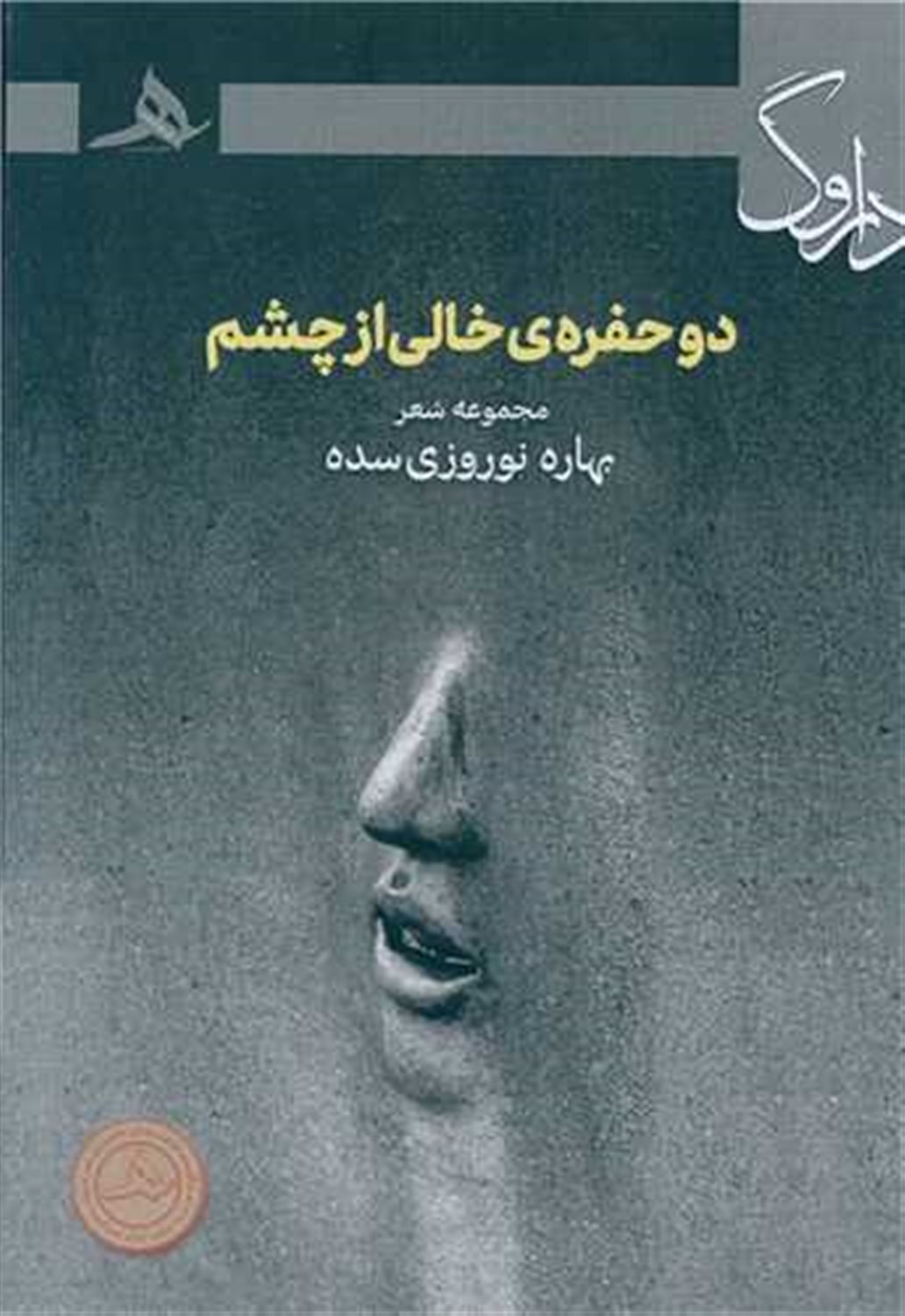 دو حفره خالی از چشم 