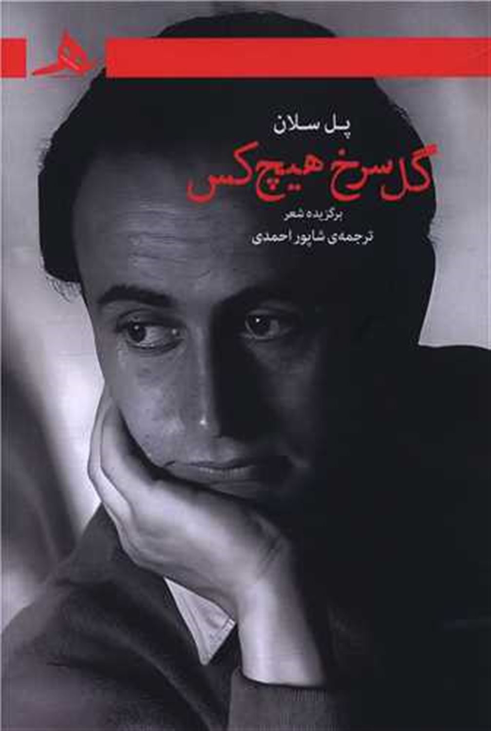 گل سرخ هیچ کس 