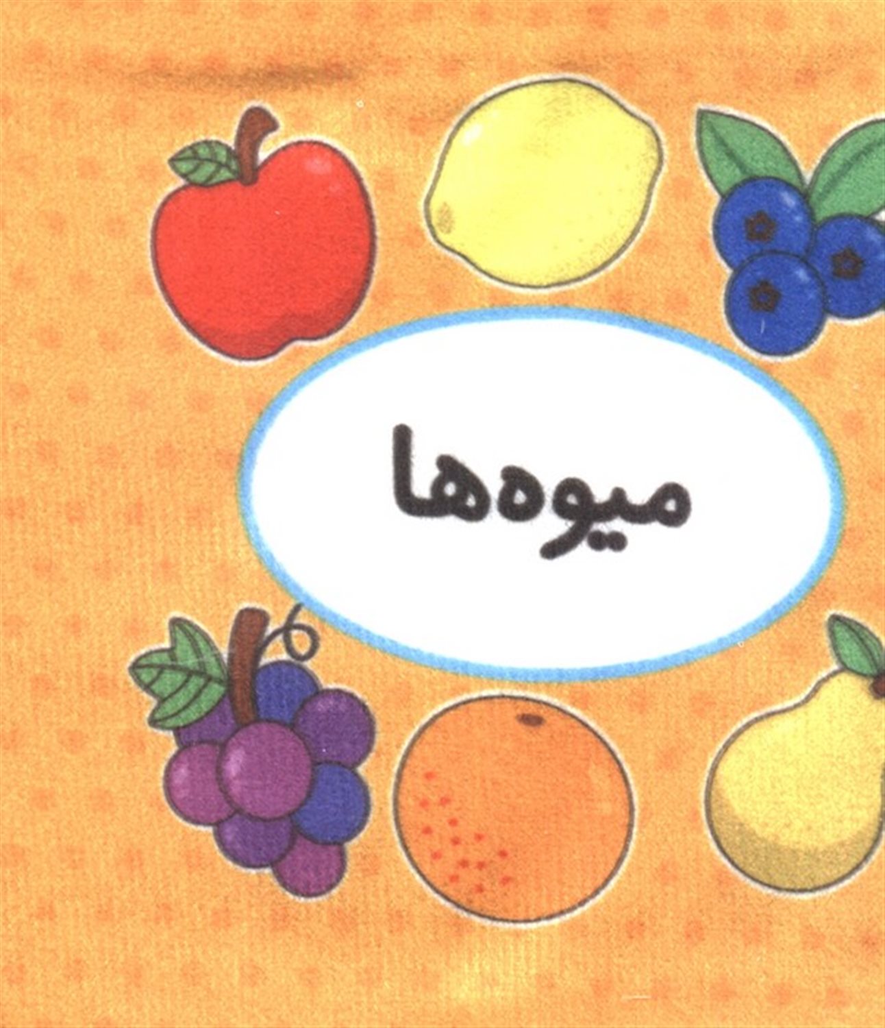 اولین کتاب تصویری من (میوه ها)