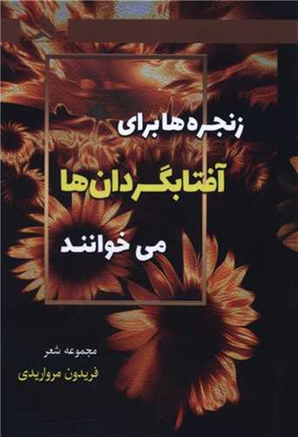 زنجره ها برای آفتابگردان ها می خوانند 