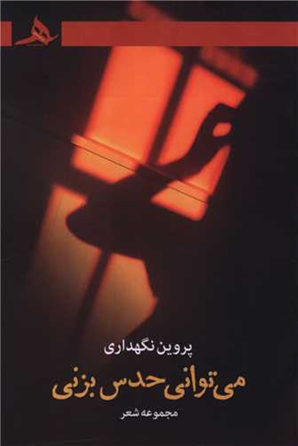 می توانی حدس بزنی 