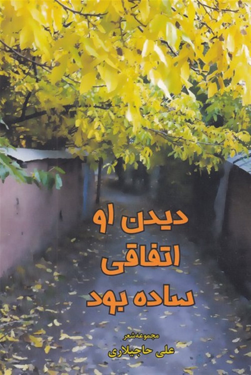دیدن او اتفاقی ساده بود