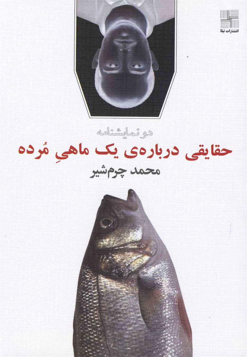 حقایقی درباره ی یک ماهی مرده
