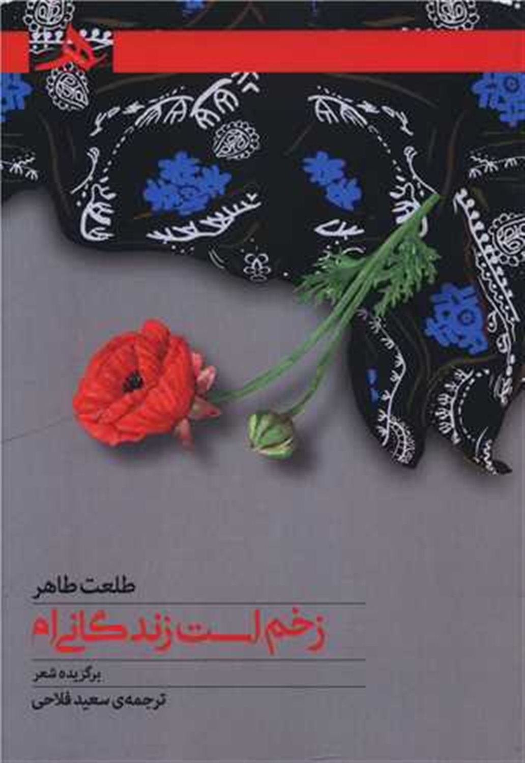 زخم است زندگانی ام 