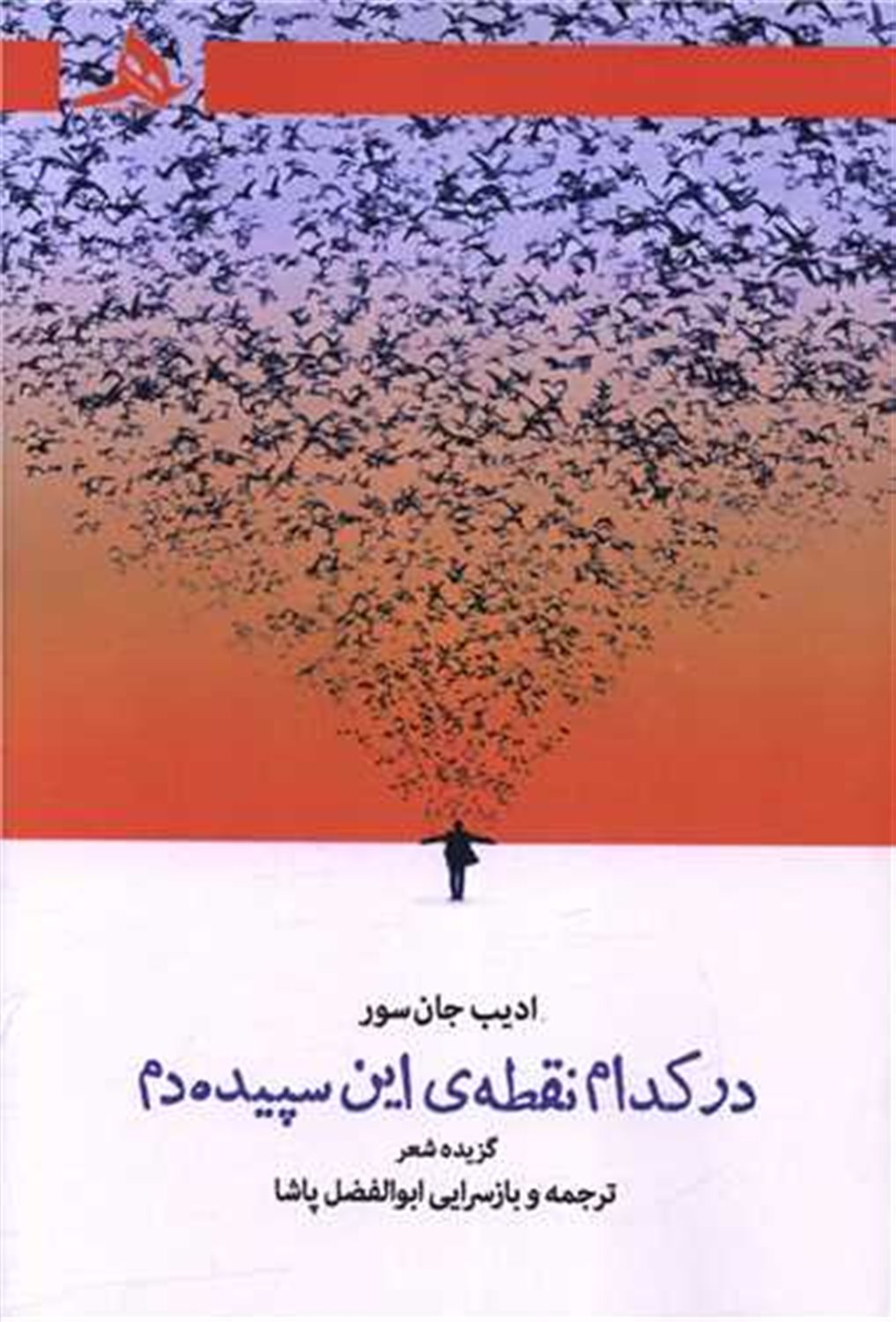 در کدام نقطه این سپیده دم 