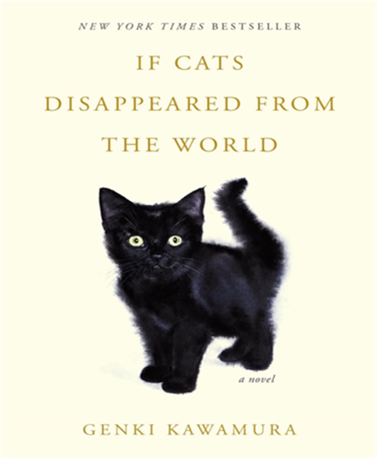 IF CATS DISAPPEARED FROM THE WORLD 