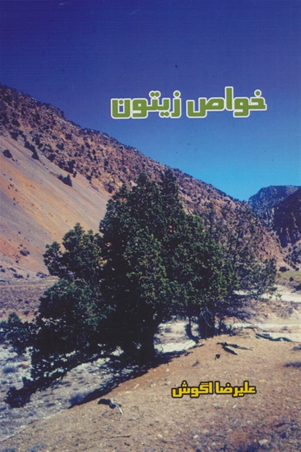 خواص زیتون 