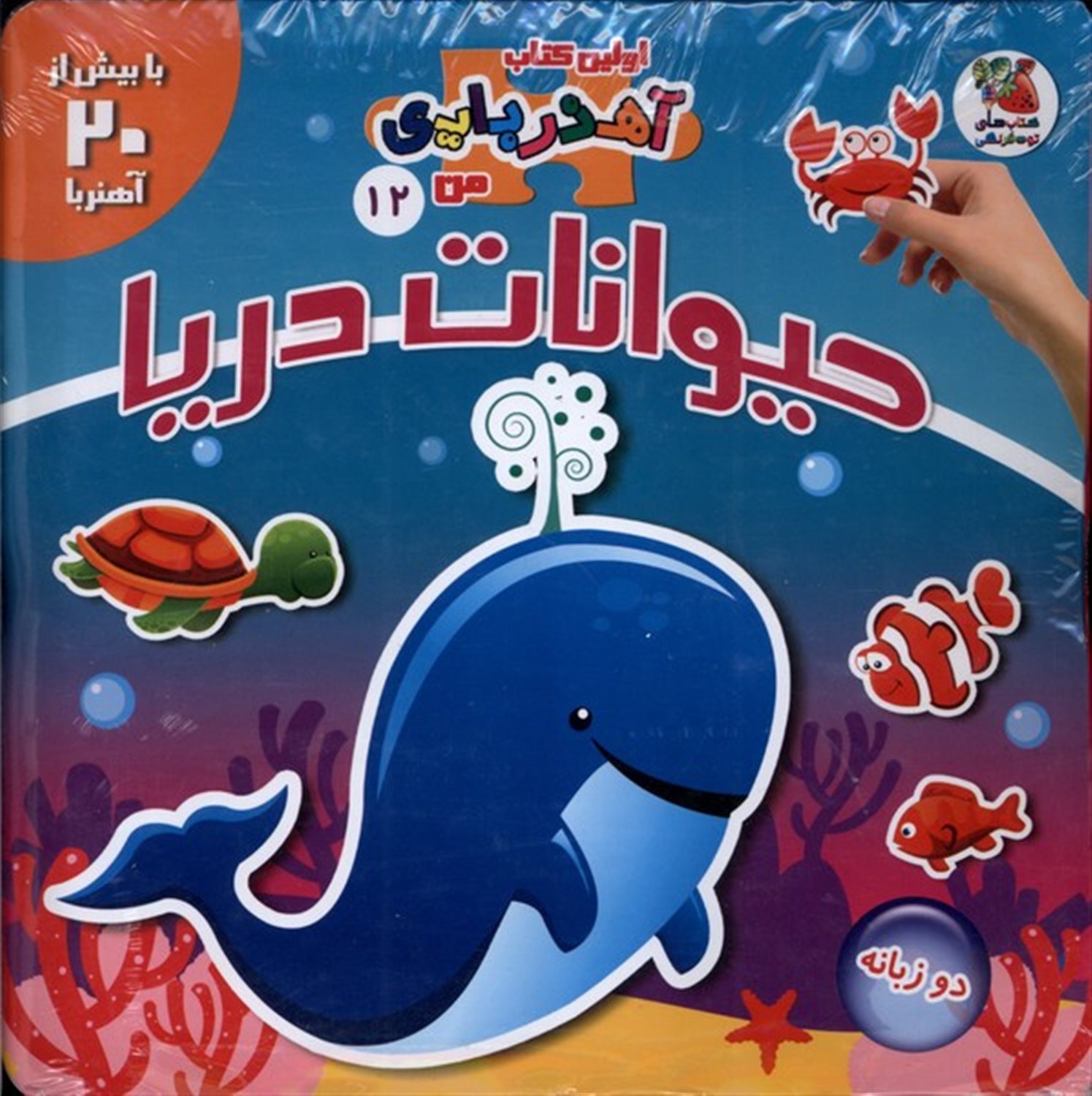 اولین کتاب آهن‌ربایی من 12 (حیوانات دریا)